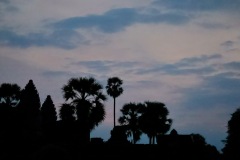 IMG_1082