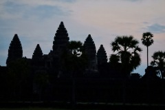 IMG_1084