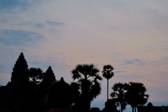IMG_1089