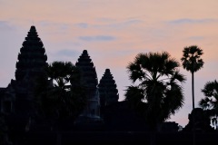 IMG_1092