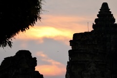 IMG_1114