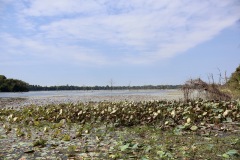 IMG_0994