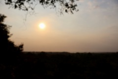 IMG_1067