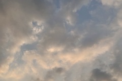 IMG_3729