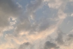 IMG_3730