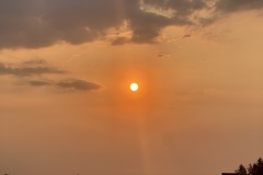 IMG_3733