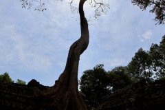 IMG_1169