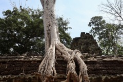 IMG_1206