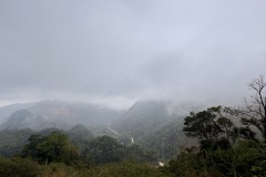 IMG_3267