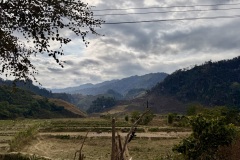 IMG_3275