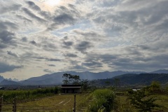 IMG_3279