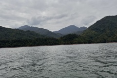 IMG_3315